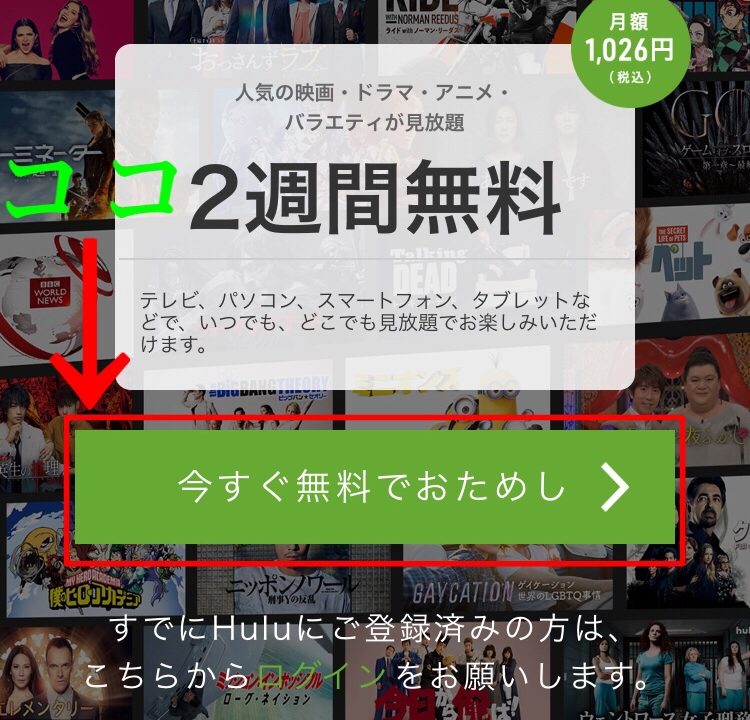 Hulu①